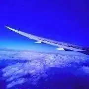 ALOHAの画像