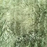 ni