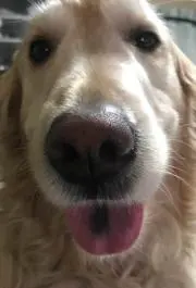 マーシーズの画像