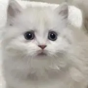 ♡