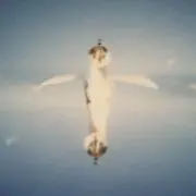 だいこんマン