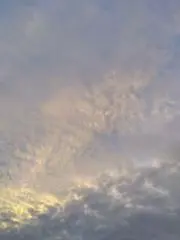 Rの画像