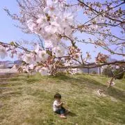 てんの画像