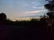 飛遊の画像