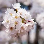 Butterの画像