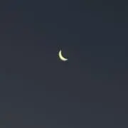 zundaの画像