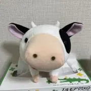Mowtasoの画像
