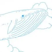 クジラ