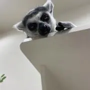 地球人