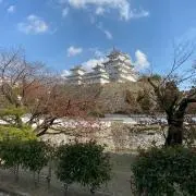 マルの画像