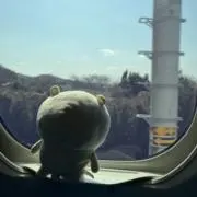 みーちゃん！！すぐ発送します！！の画像