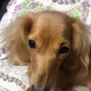 ふーみん