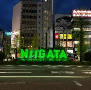 サケの画像