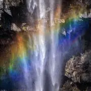 rainbow88の画像