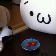 こたん☆多忙中の画像