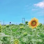 maru☆プロフ必読⭐︎値下げ祭り⭐︎の画像