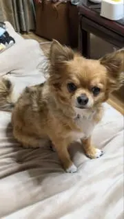 むらさんの画像