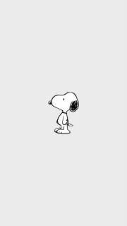 ピーナッツの画像