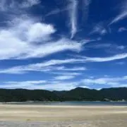 Palinoの画像