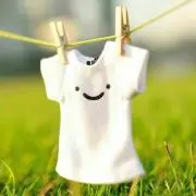 ステラ☆ステラの画像