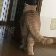 MOKAの画像