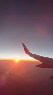 ぴのの画像