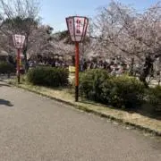ほるんの画像