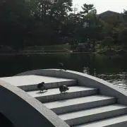 かまとん