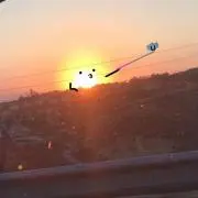 みみみの画像