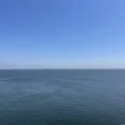 りーの画像