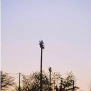 ppの画像