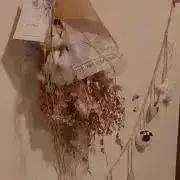 miの画像
