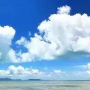 marinの画像