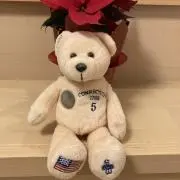 teddyの画像