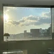 Evaの画像
