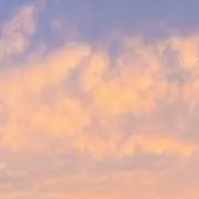 みどりの画像
