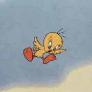 mmの画像