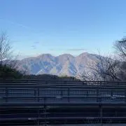 よしこふの画像