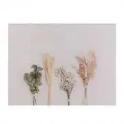 hama✯の画像