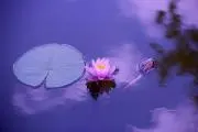 MMTIMKRの画像
