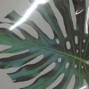 ちゃちゃまる