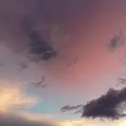 19の画像