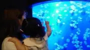 aasの画像