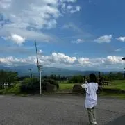 パピコの画像