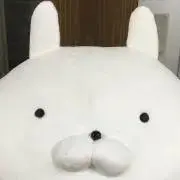pon☆の画像
