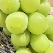 しゃいんの画像