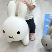 cocoaの画像