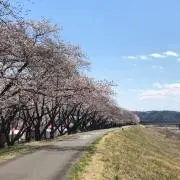 イッセーの画像