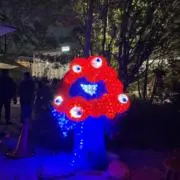 Tanuの画像