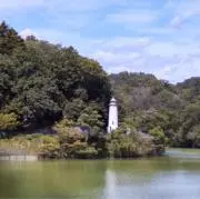 さむの画像